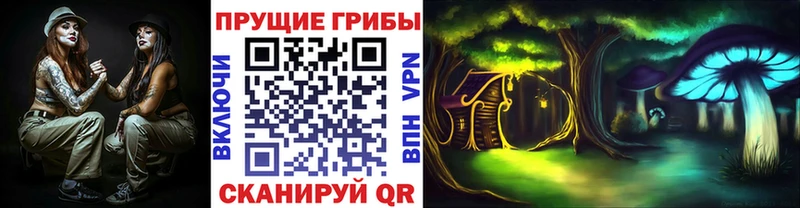 Галлюциногенные грибы Psilocybe  Петровск-Забайкальский 